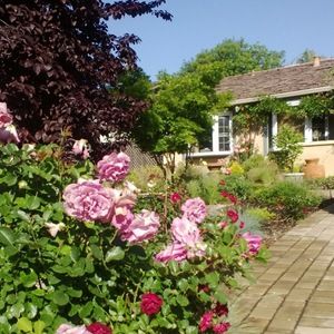 Meet your Posher, Ruma